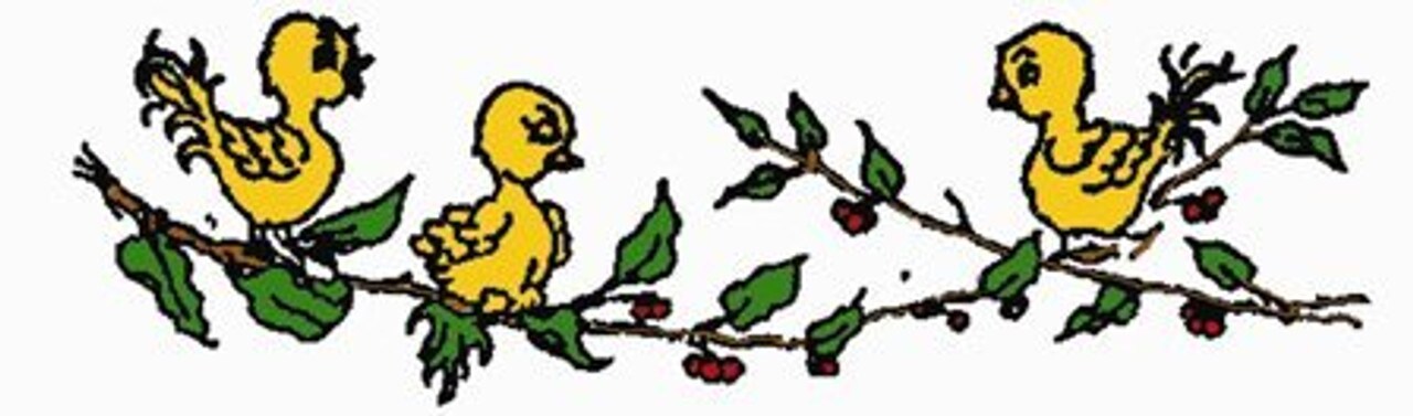 Aunt Martha's Chicken Romance 3974 embroidery iron on pattern - Image 2