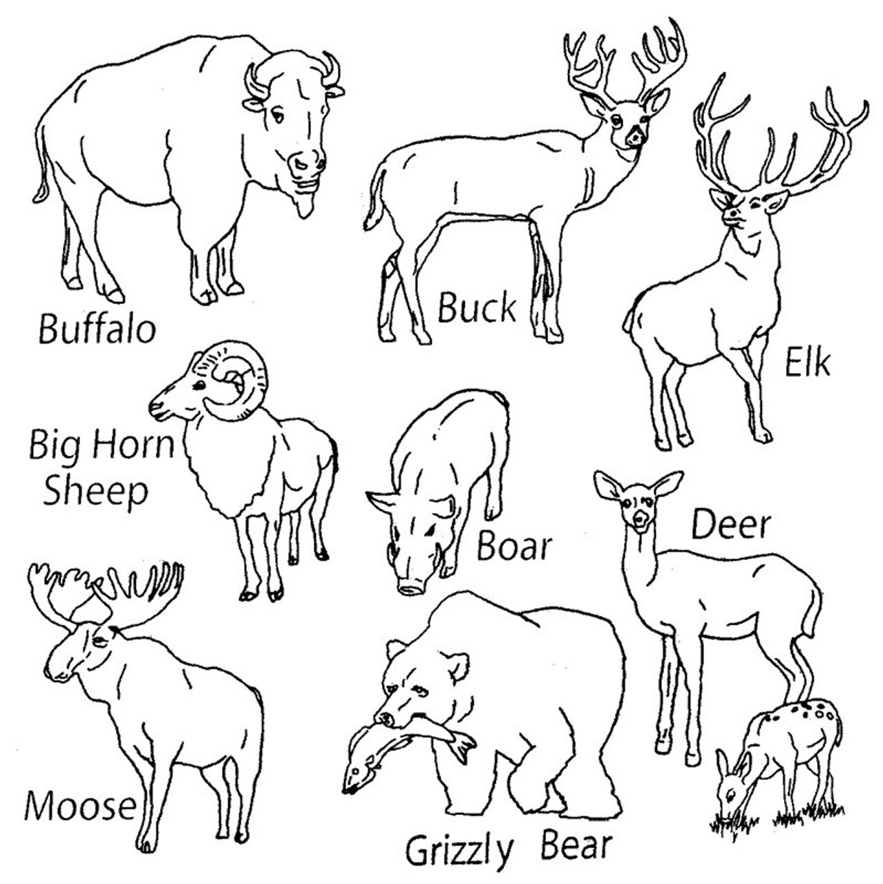 Aunt Martha's Big Game Animals 3969 embroidery iron on pattern - Image 3