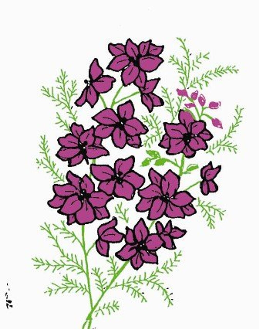 Aunt Martha's Large Larkspur, Hibiscus, Iris & Pansy 3923 embroidery iron on pattern - Image 2