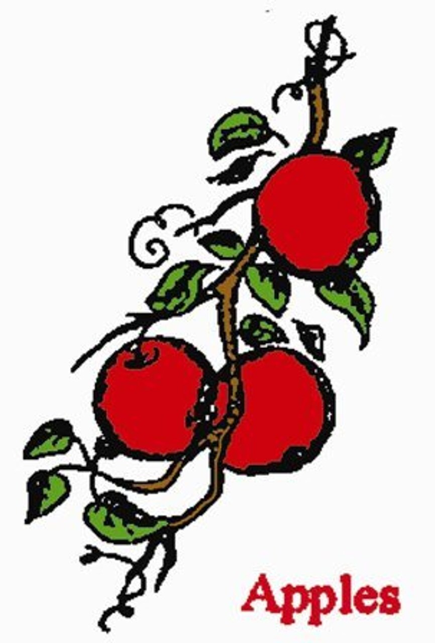 Aunt Martha's Fruit Motifs 3964 embroidery iron on pattern - Image 2