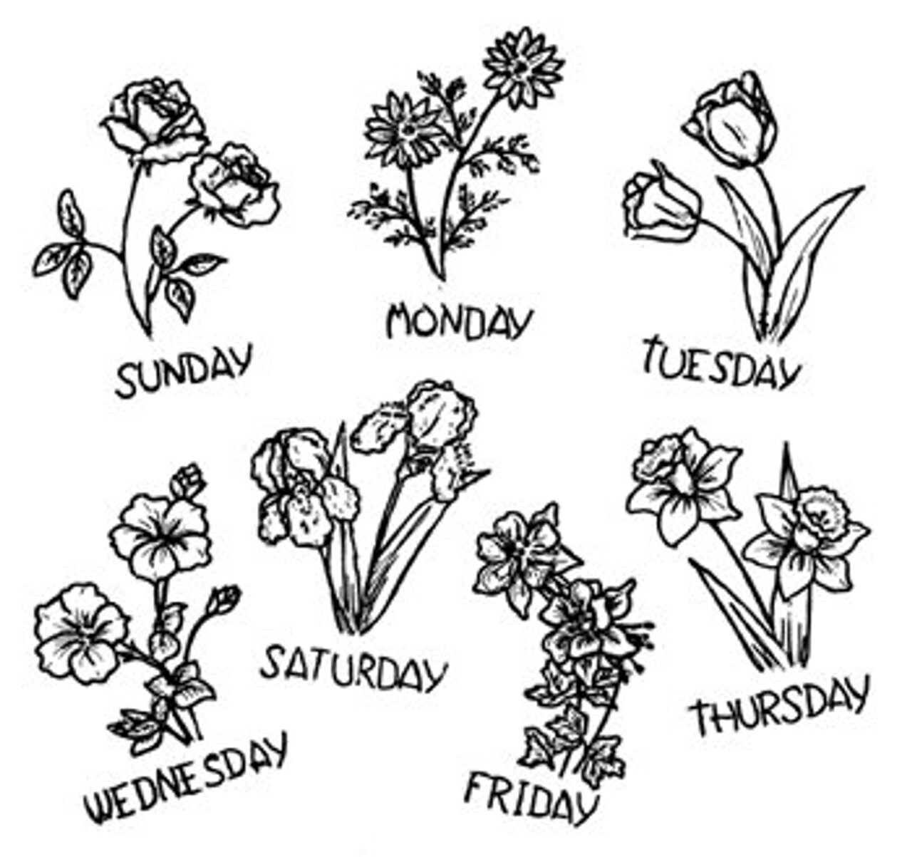 Aunt Martha's Flowers for Everyday 3931 days of the week embroidery iron on pattern - Image 2