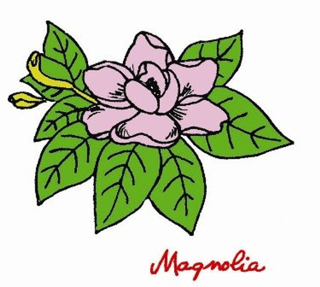 Aunt Martha's Daylily Peony Magnolia 3866 embroidery iron on pattern - Image 3