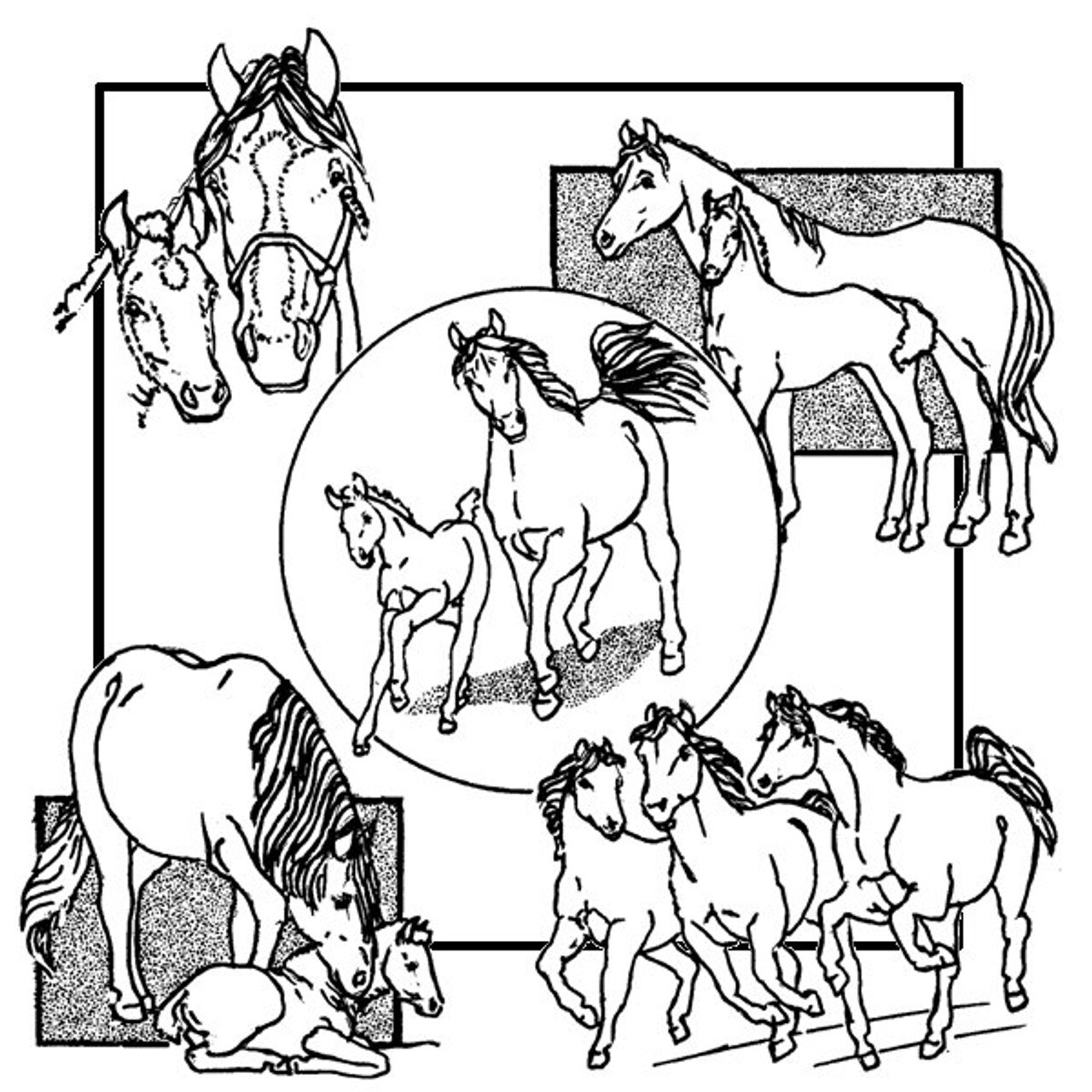 Aunt Martha's Horses 3936 embroidery iron on pattern - Image 2